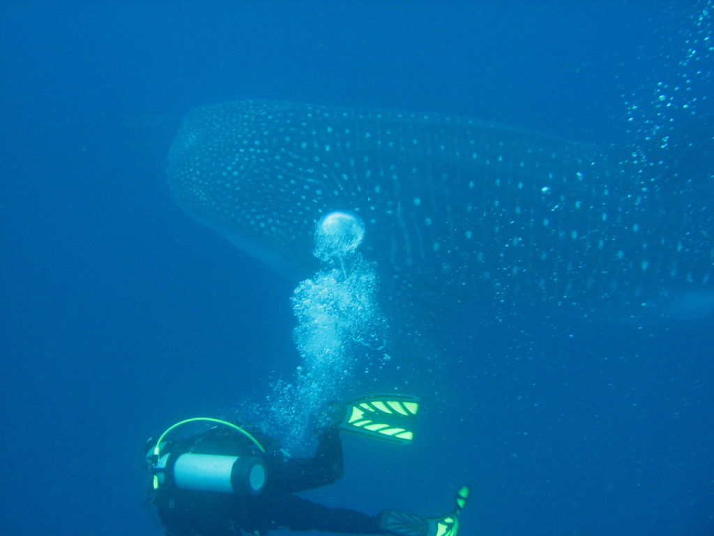 b0affe7b-1cde-46b8-8625-2e893550fb34