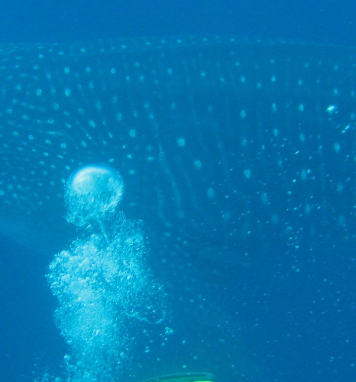 b0affe7b-1cde-46b8-8625-2e893550fb34