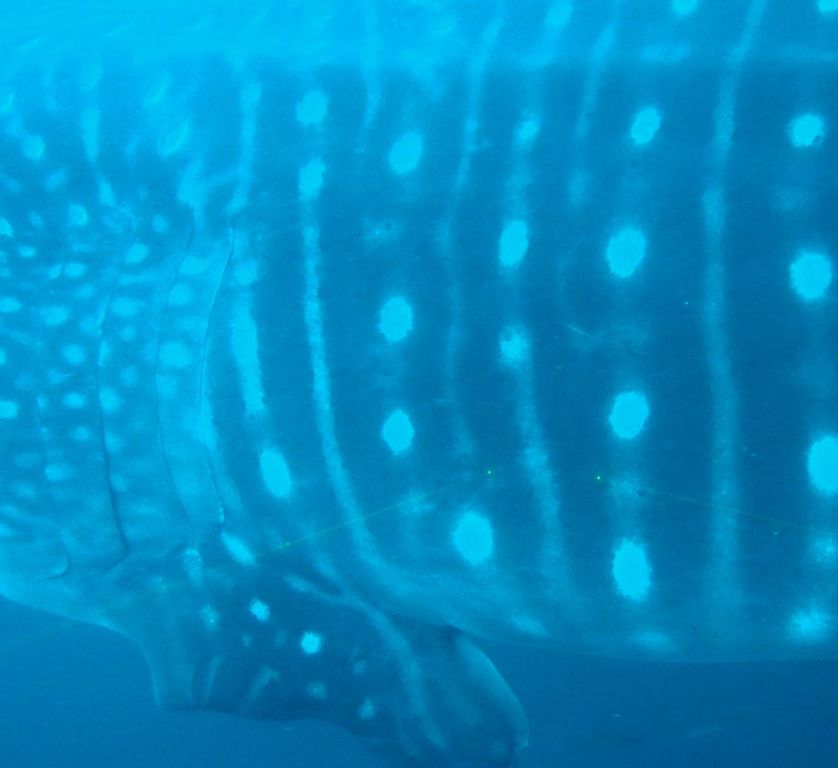 f5bc53b2-3a07-4c35-b6f8-fb96c3e6e002