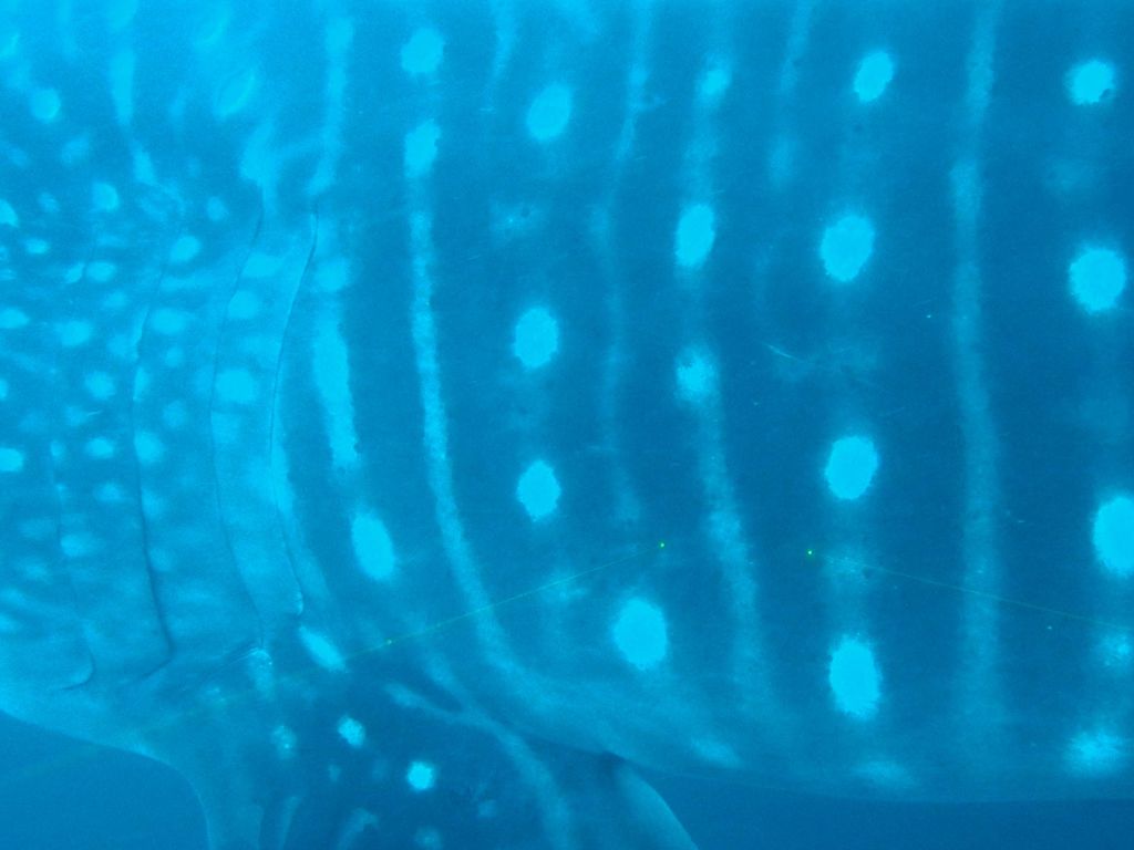 f5bc53b2-3a07-4c35-b6f8-fb96c3e6e002