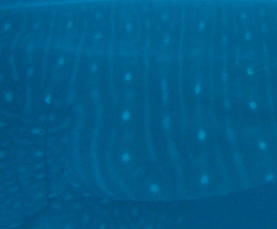 734c34b3-f235-4b5e-aa92-8b83e49c0f87