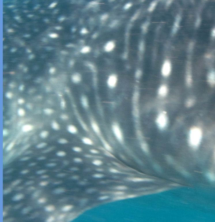 ad7e8b5c-369e-41ae-aaeb-79de871243f4