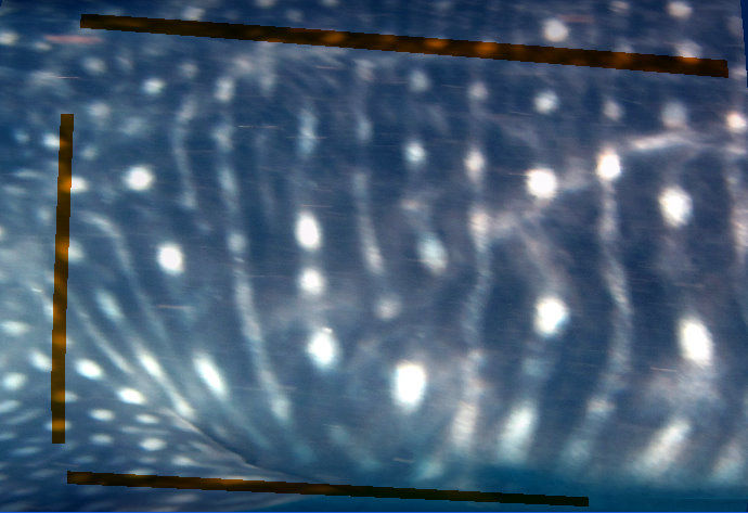 ad7e8b5c-369e-41ae-aaeb-79de871243f4