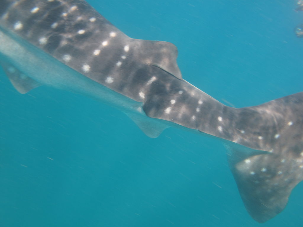 ad7e8b5c-369e-41ae-aaeb-79de871243f4