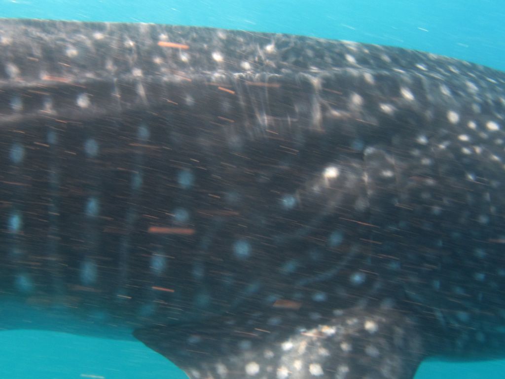 ad7e8b5c-369e-41ae-aaeb-79de871243f4