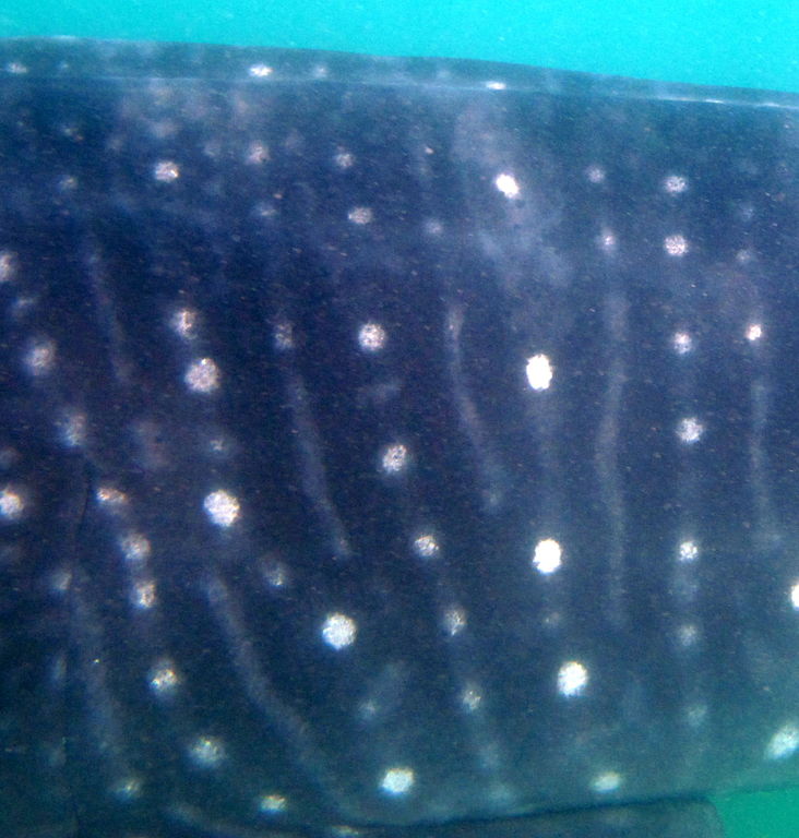 52d6206d-dea9-49be-9cfb-25cfe5809897