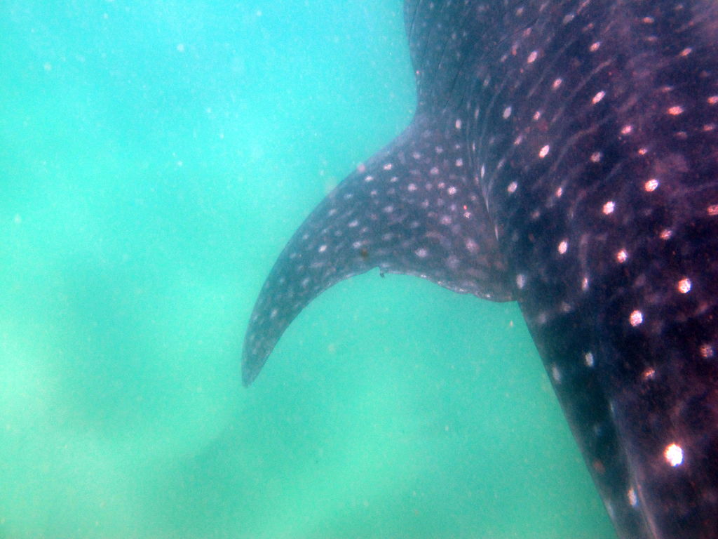 52d6206d-dea9-49be-9cfb-25cfe5809897