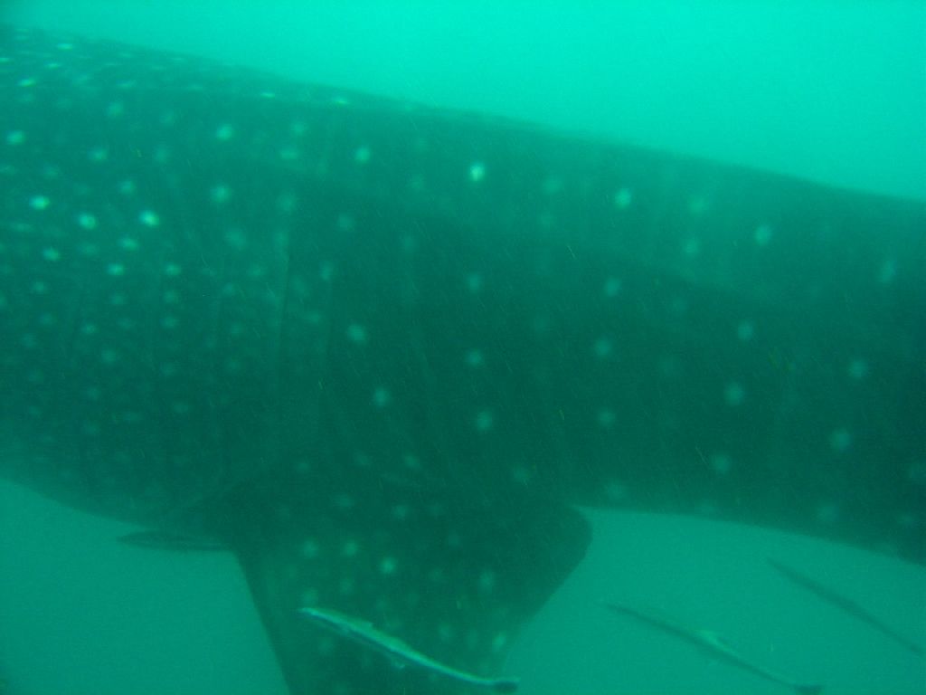 04e11475-8560-4967-bcfa-bcaec9acbf3d