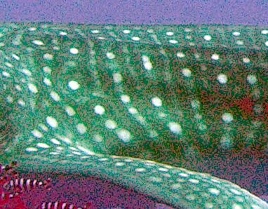 fc6cd568-2b7e-405a-8090-792db59b3697