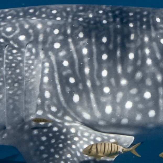 a23ab8d1-c280-4a5e-9120-3e067595799b