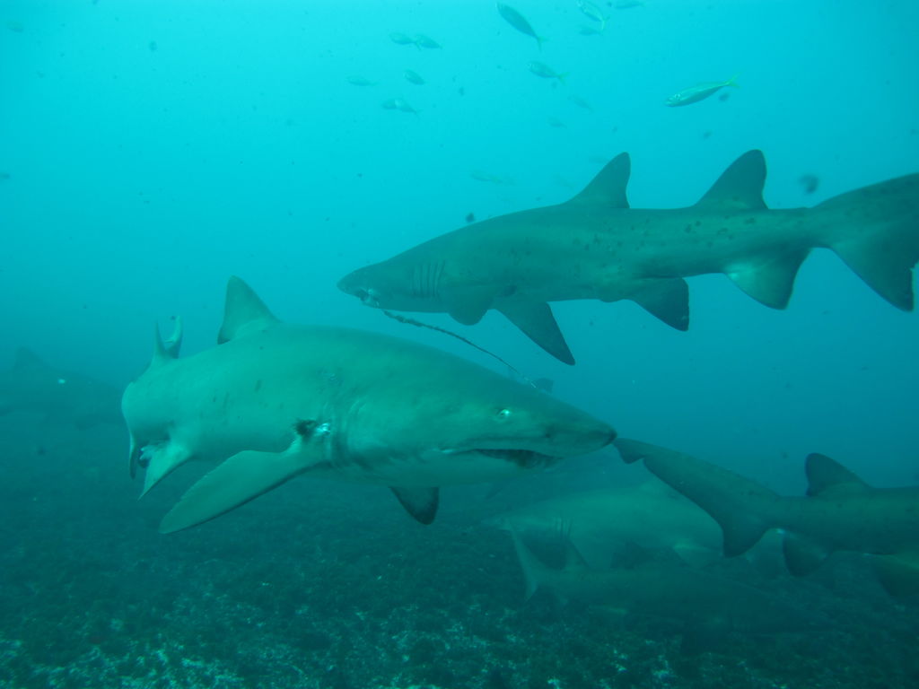 edfc2c3b-e47f-44b5-9484-c435dd7d39ae