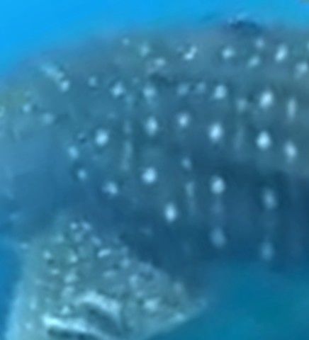 77d85d33-e1db-43e7-a071-6b54ae937c24