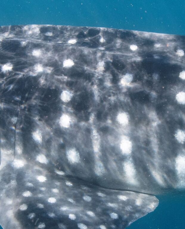 1d5edcb2-5597-4d09-a391-c80cf6bb1fb2