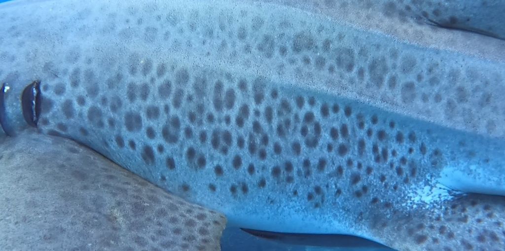 cfb0823e-1745-4129-a686-9b115666000c