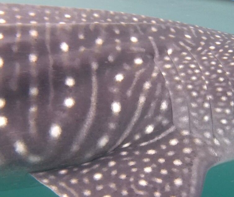 6de99128-dd31-4962-8ef5-13e53034e79f