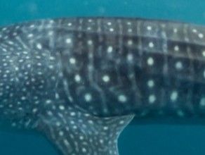 142157e7-2687-4b3d-bc4c-7166ebfd5273