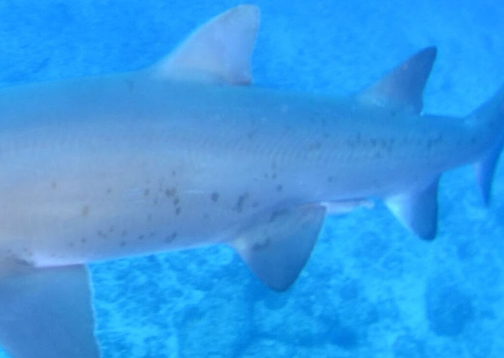 13816ede-c958-462d-84f0-c03e5eab7d07