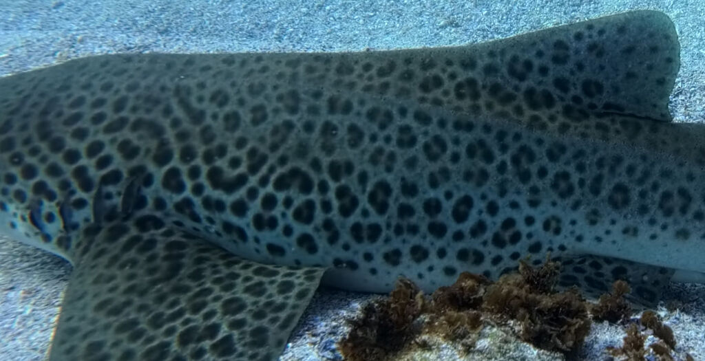 c2ca79fb-1eda-4564-9fc8-e95ecaa9609b