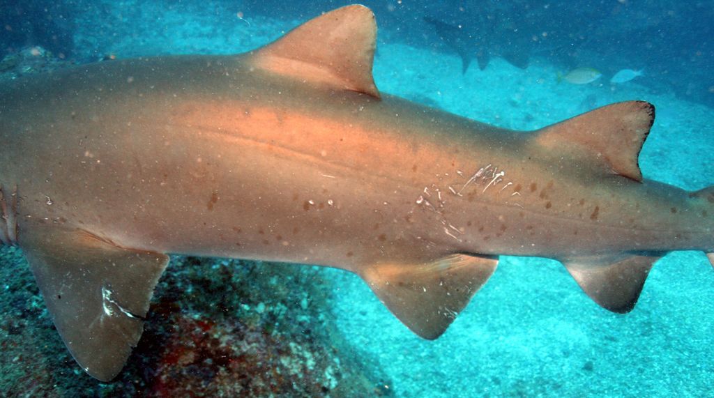 c51cea77-9e0c-42a5-bb42-6d58c96ce4ed