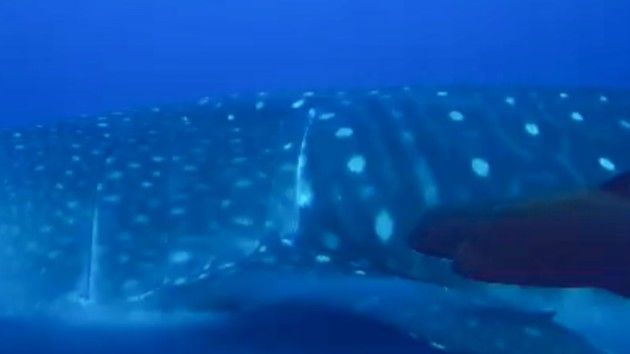 80122e1a-5af6-4ffb-978a-bd871f7535ae