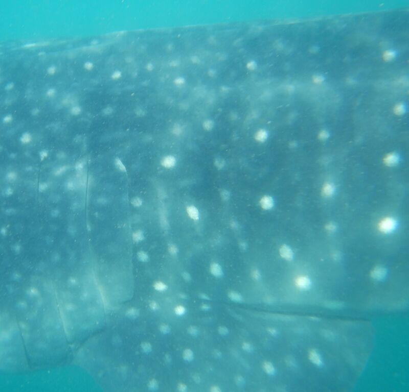 024c2470-7a8b-4af2-bfe4-84ce0437b3ce