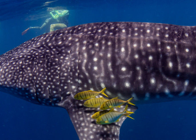 8cf35555-e834-4a1a-b1e9-63f3a1f3d4c9