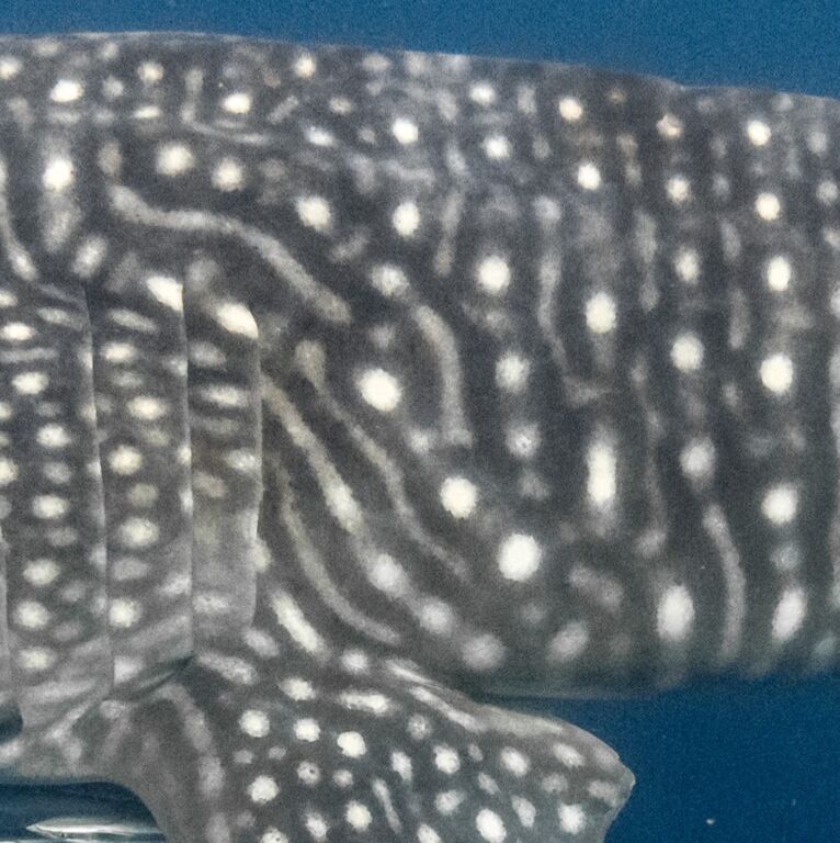 8cd1cdde-41d8-452d-8d8c-35886398b511