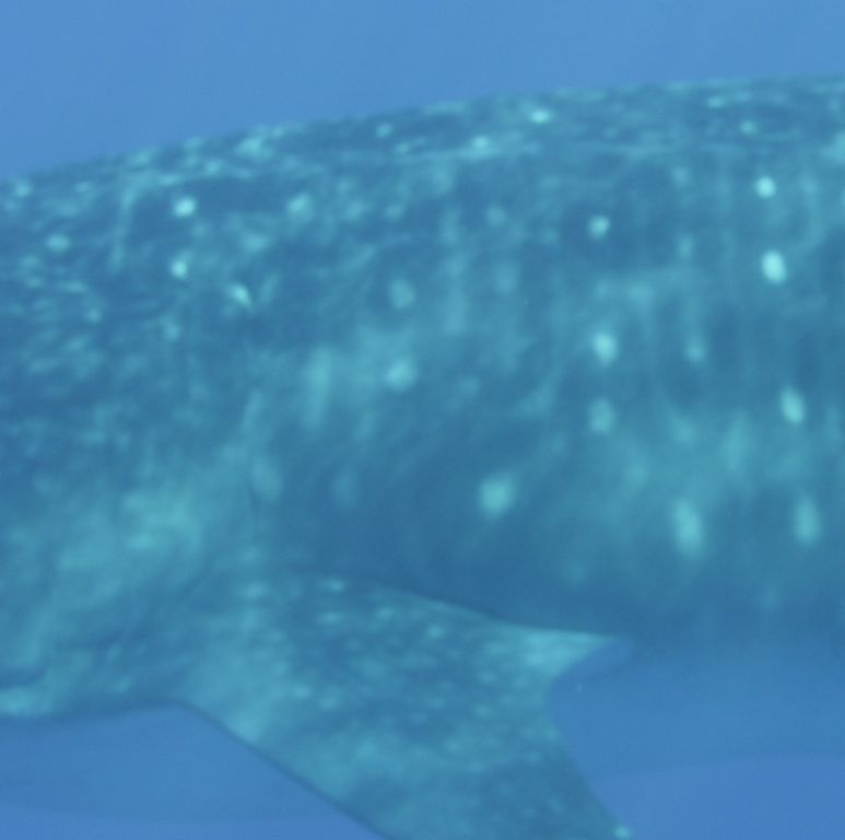 82873f84-4089-4f7b-a4f8-ca3f8eb5cfdd