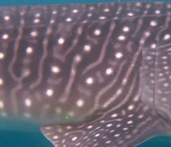 7ac993f4-67dc-4ec7-986a-bec4e938796a