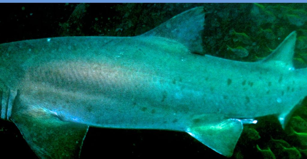 5a260be2-9457-4bde-ab08-27d6af7a37d9