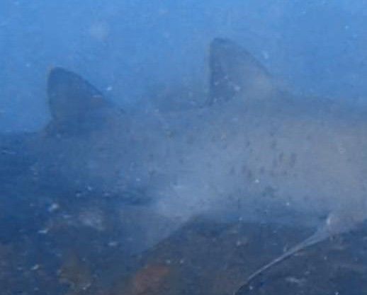 a0a8c8f6-d988-4e37-bb95-84b685602857