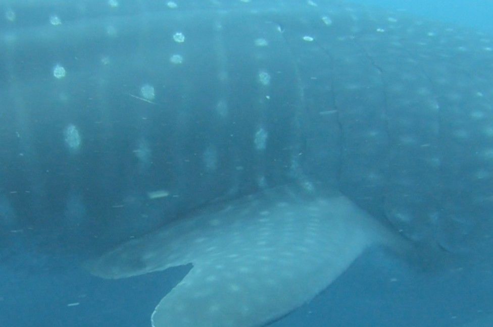 15284605-86ef-4834-ad7b-9907fc100fde