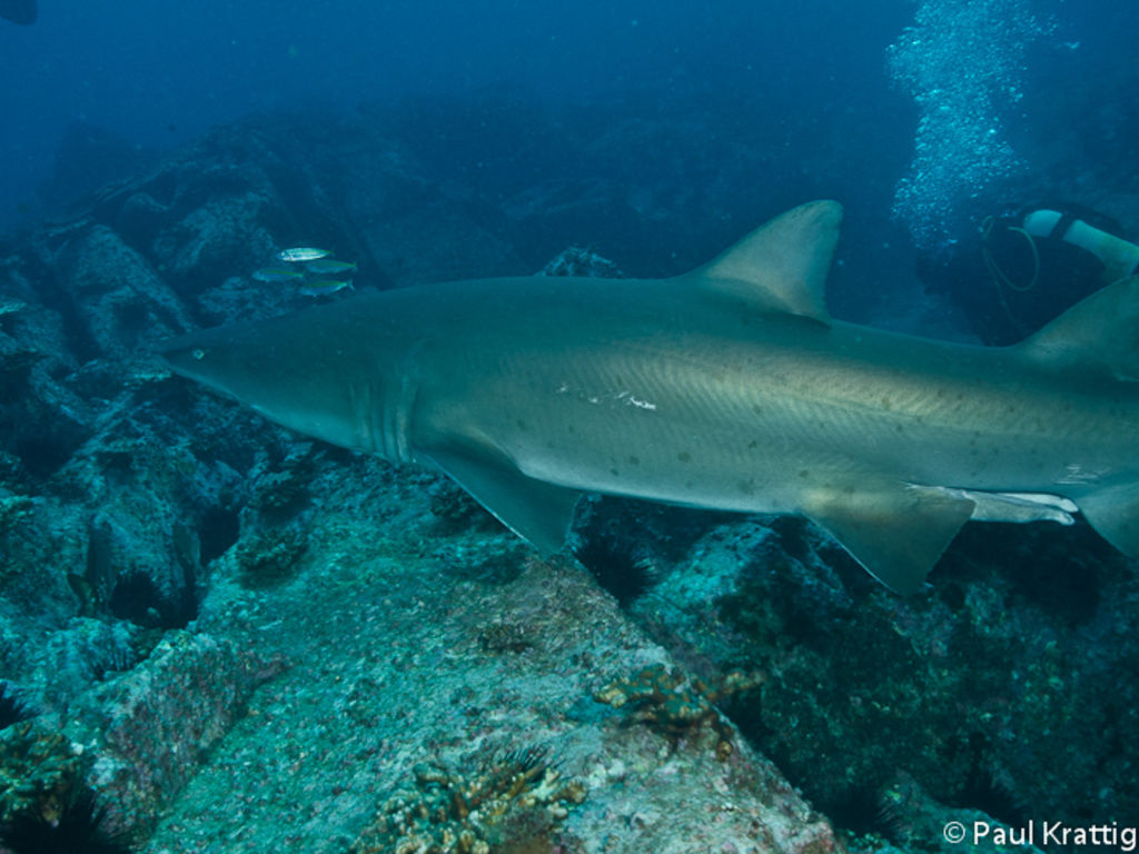 2bc39fb5-48a6-4fd8-ad92-d88db51a6b6a