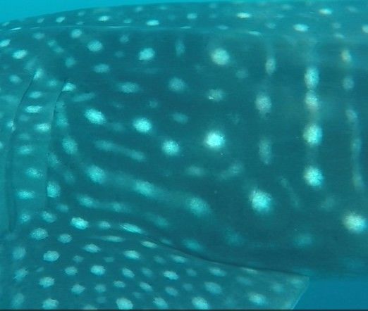 92beb91f-2539-454f-9b71-c65b6f16cc03