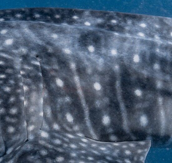 b77e9c5d-765a-47c0-8a81-5cd1c98c688d