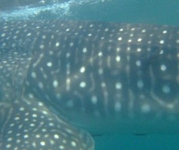 a20fedc7-a292-418f-b332-628ac6a2a52d