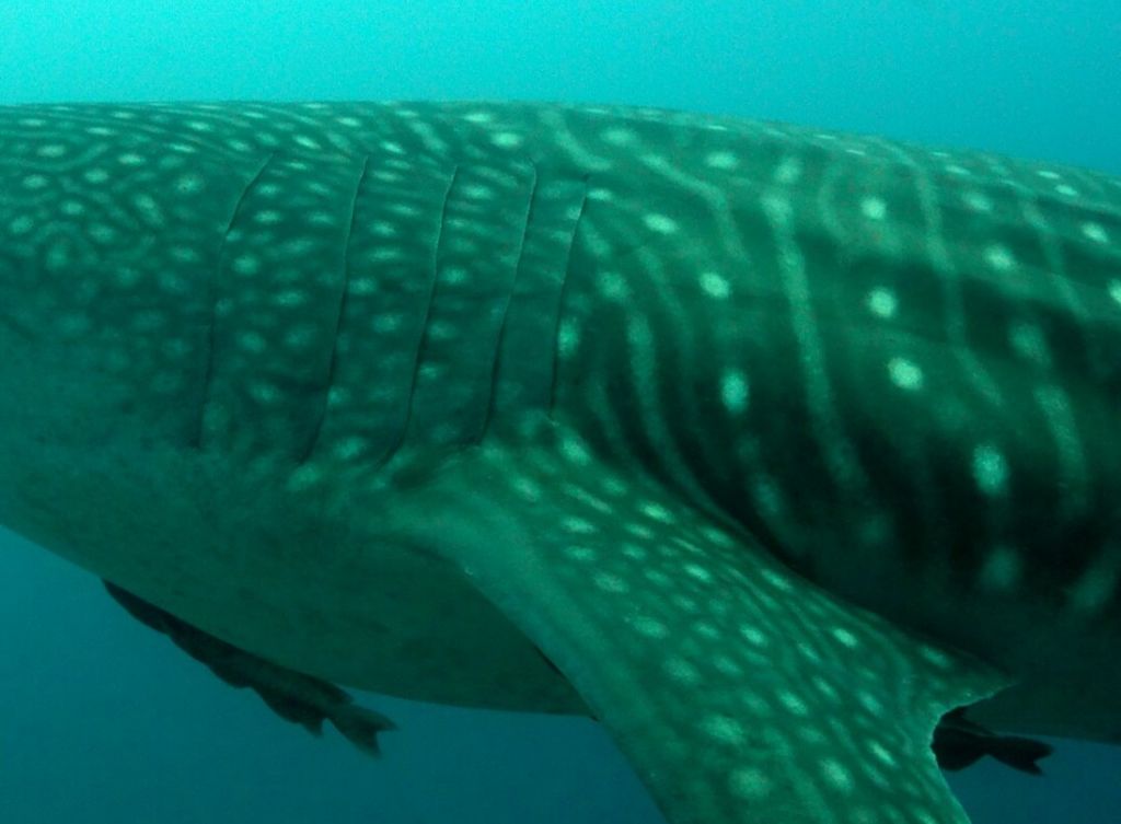 d9c9263a-d0ed-4ac6-a4f8-c1a44dbb73fa