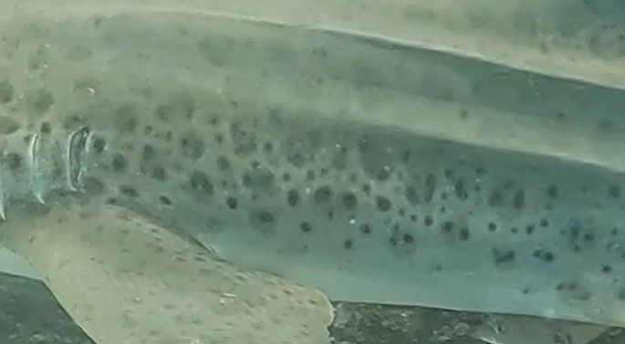 4cf543d1-6f08-4105-ac64-bc74efaf1032