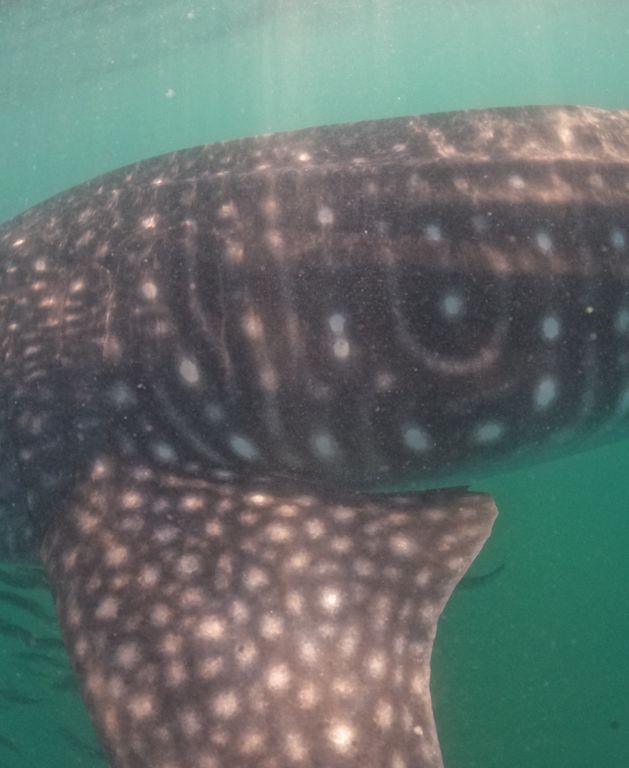 0f89c903-959a-466b-819a-c9eef4f5d500