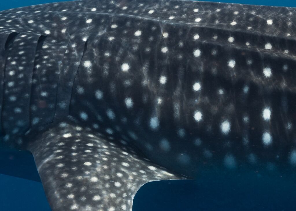 3689345d-781e-43aa-ad30-15713a4b6a3c