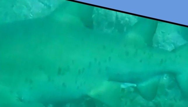 ef6bacb2-f54c-4970-8f7b-590f3e9e1b8c