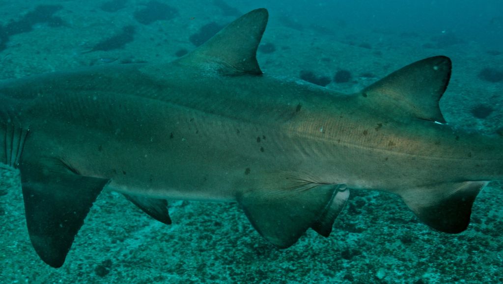 7b75fd5a-4eef-4f0d-86bd-e8c4460e164d