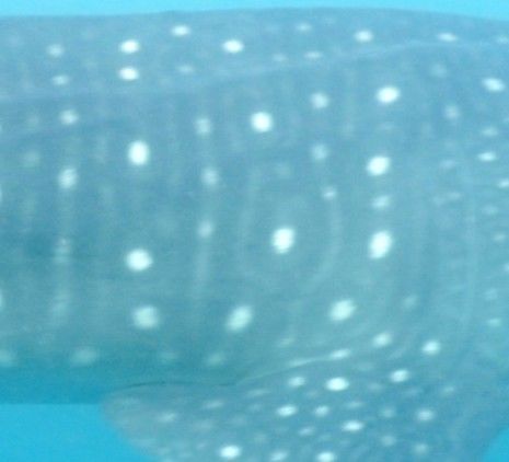 22f86a84-af08-4a59-9479-27e3ad89041a