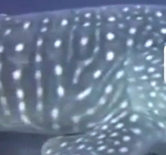 e639a453-d901-4675-952d-28bceeaf7f5c