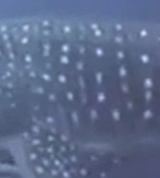 e639a453-d901-4675-952d-28bceeaf7f5c