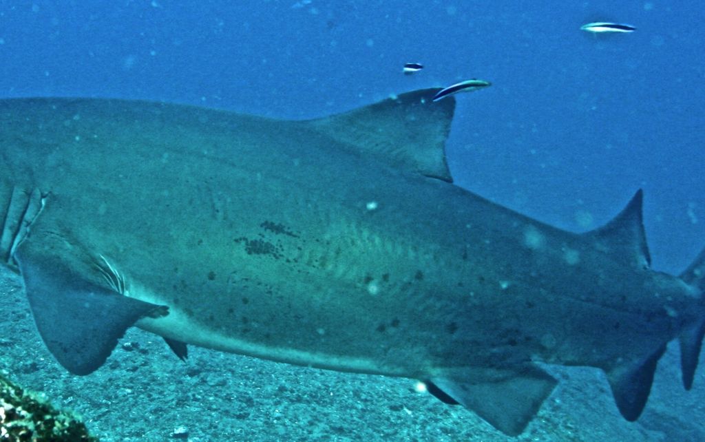 63eb5978-0e62-497d-a990-e3da773dabdf