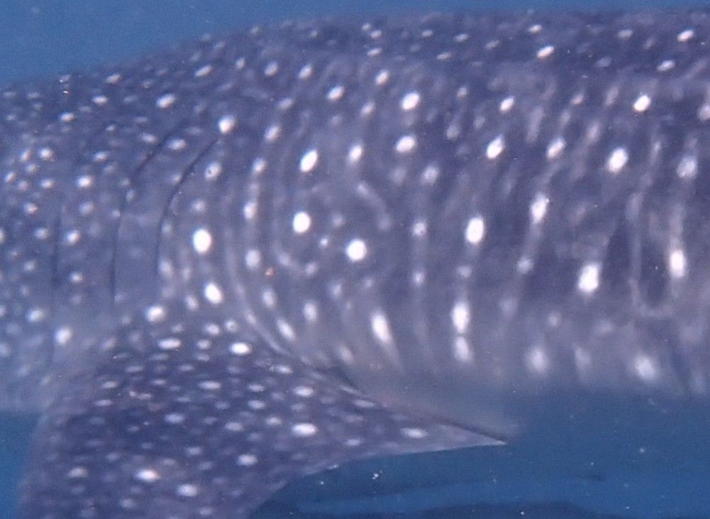 6a3d58f9-b30b-4997-a0be-0e6fce80ac64