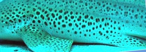 08da5230-60ce-4fda-a1b2-831a7be7f9a6