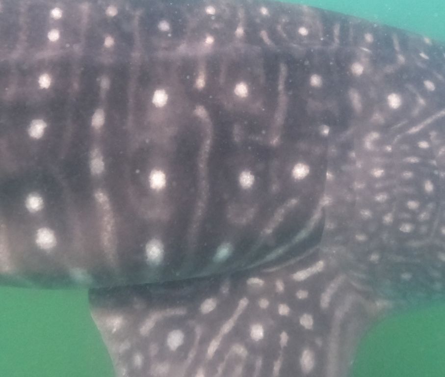 a5dd4cd0-1e8d-49f4-93a2-ab75d076a770