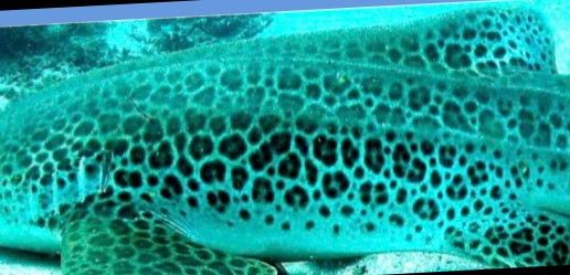 21570c0a-e3a4-4cbb-b150-ce8315ed17e9